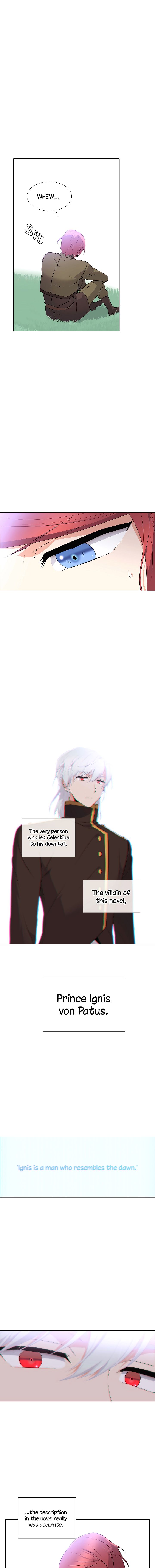 Page 11 of Chapter 2