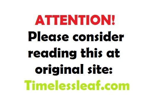 Page 41 of Chapter 11