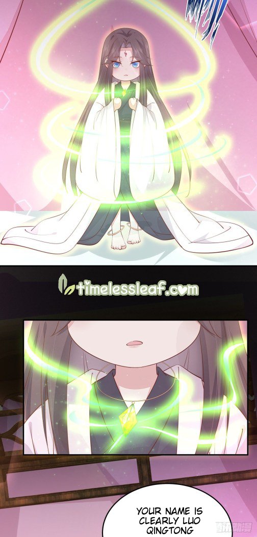 Page 13 of Chapter 119.3