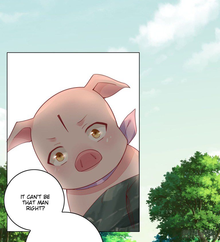 Page 19 of Chapter 13