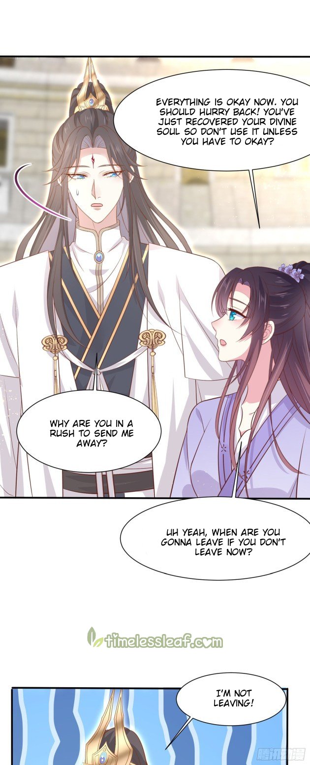 Page 13 of Chapter 215.5