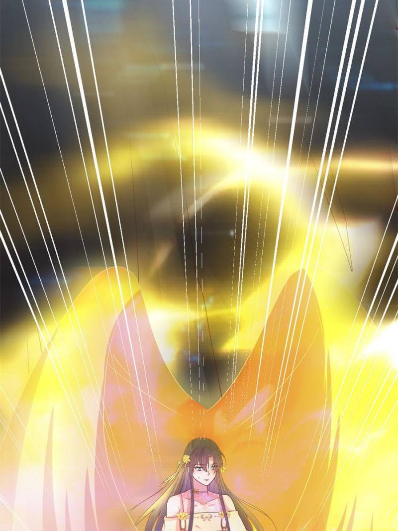 Page 5 of Chapter 355