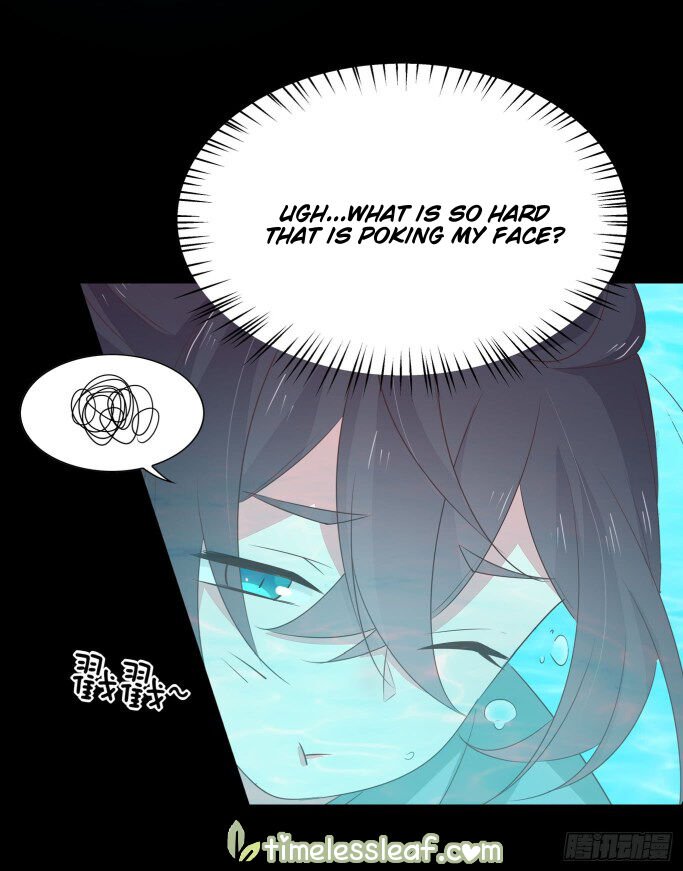 Page 5 of Chapter 41