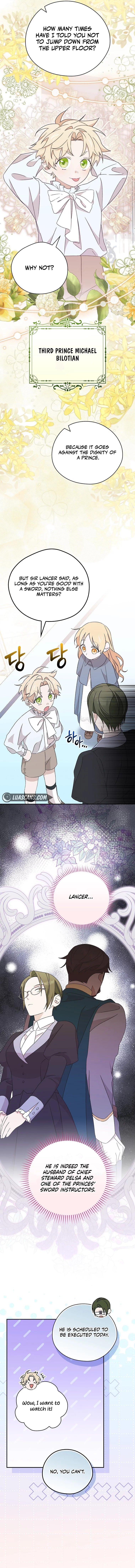 Page 8 of Chapter 17