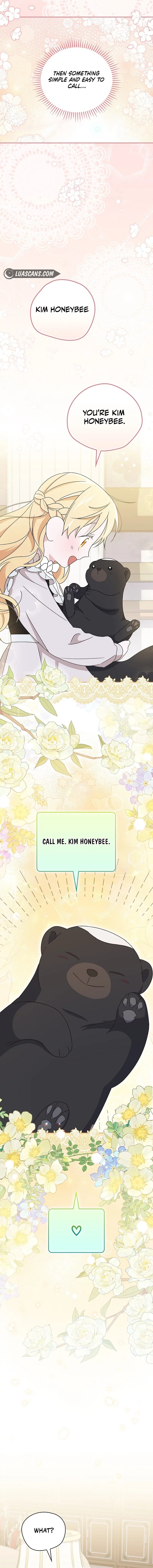 Page 6 of Chapter 19