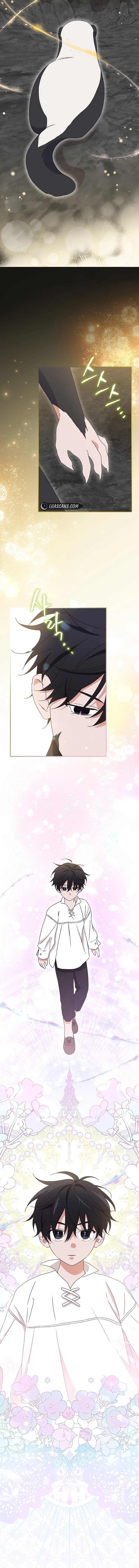 Page 16 of Chapter 19