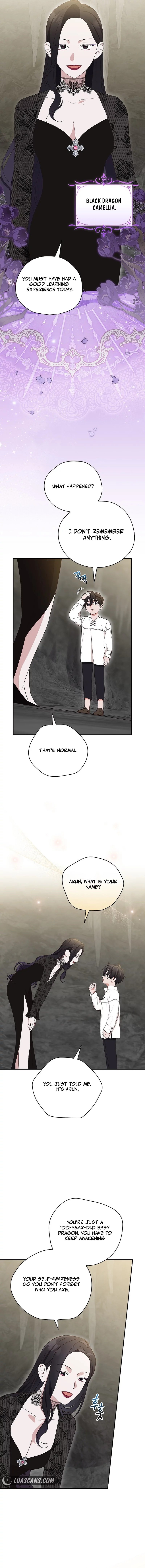 Page 2 of Chapter 20