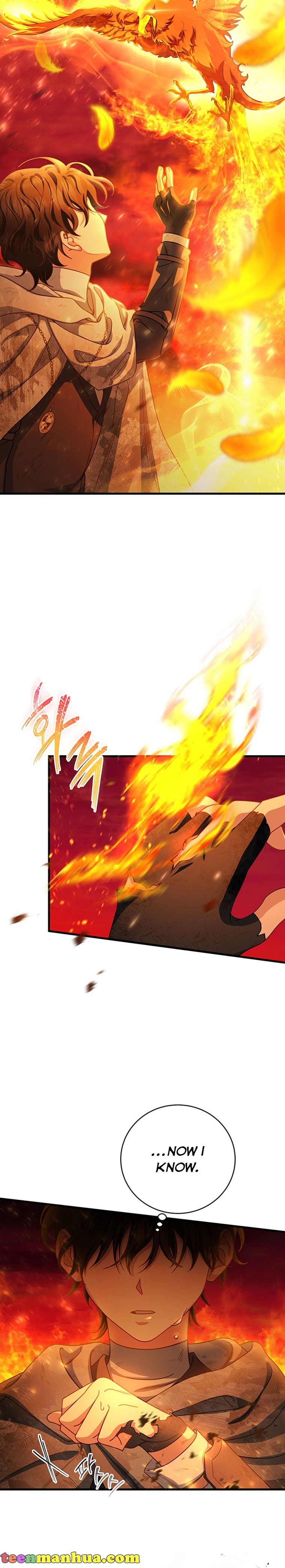 Page 20 of Chapter 19