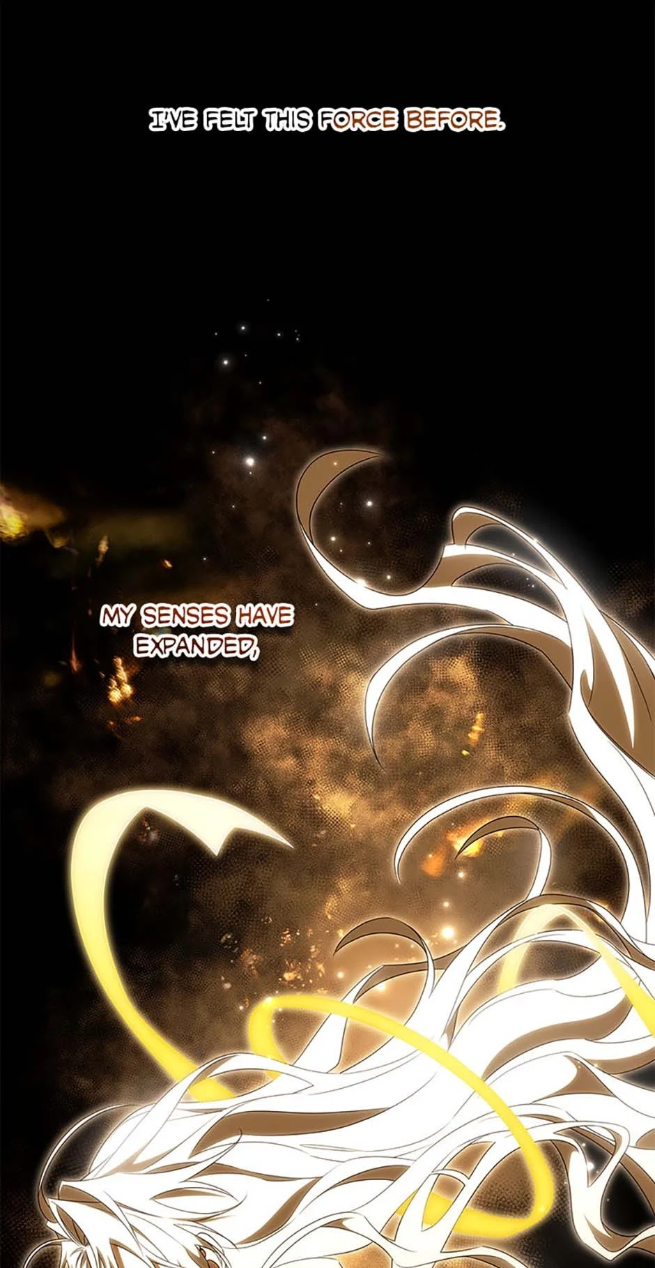 Page 17 of Chapter 96