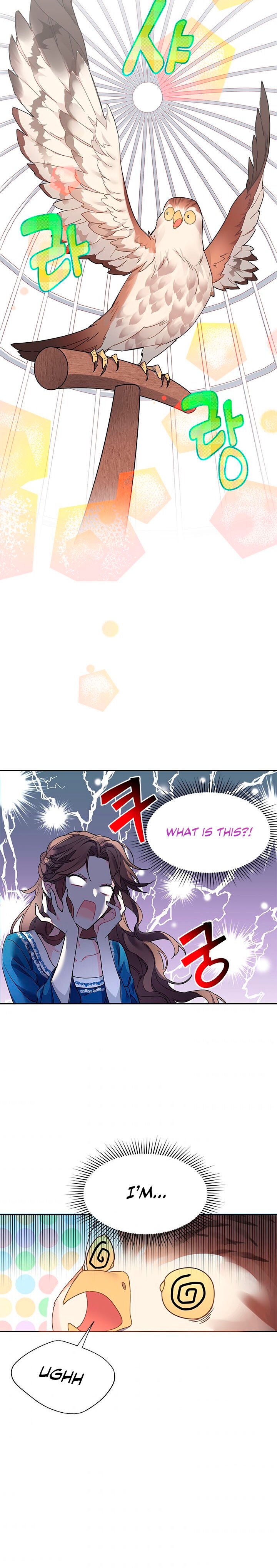 Page 23 of Chapter 1