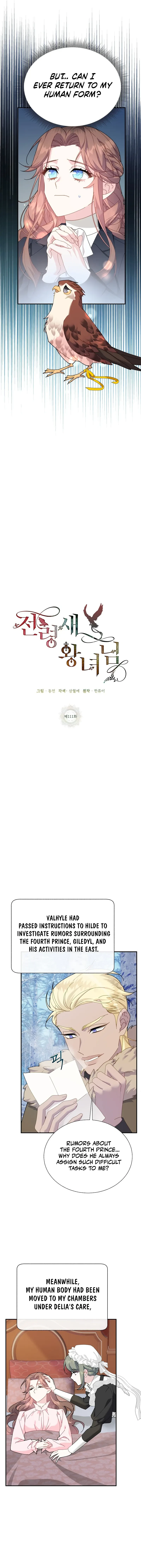 Page 10 of Chapter 111