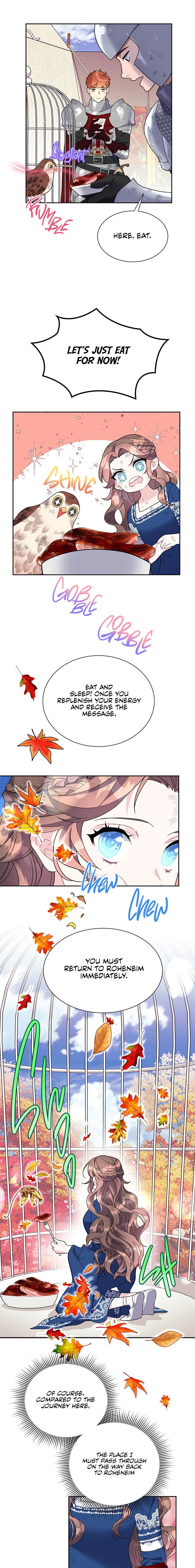 Page 5 of Chapter 15