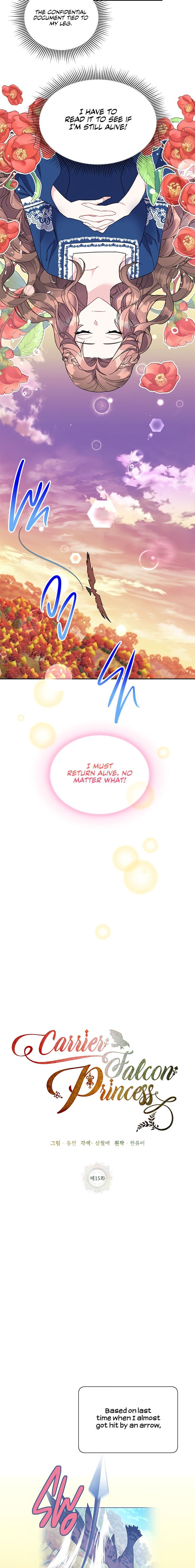 Page 13 of Chapter 15