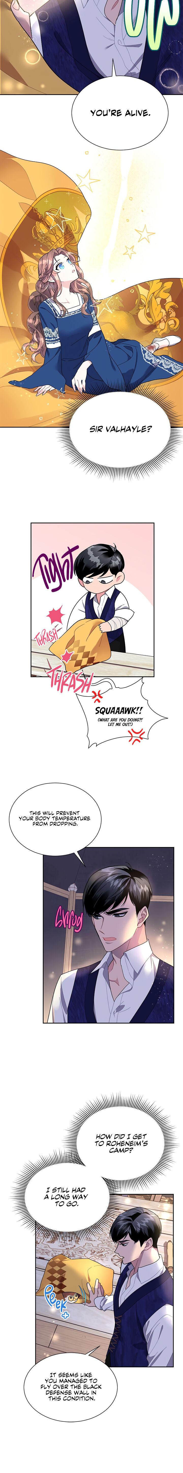 Page 13 of Chapter 16
