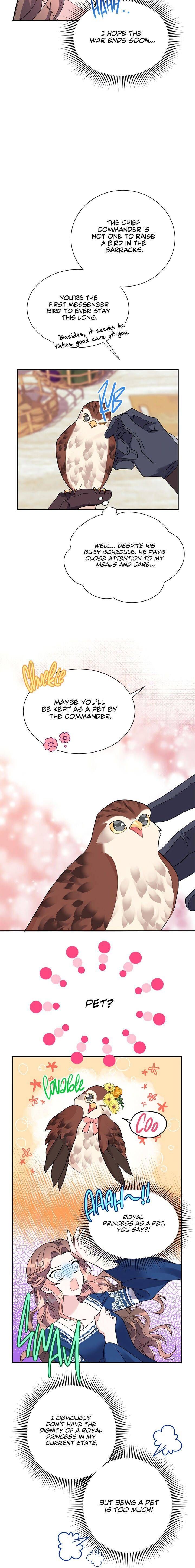 Page 5 of Chapter 20