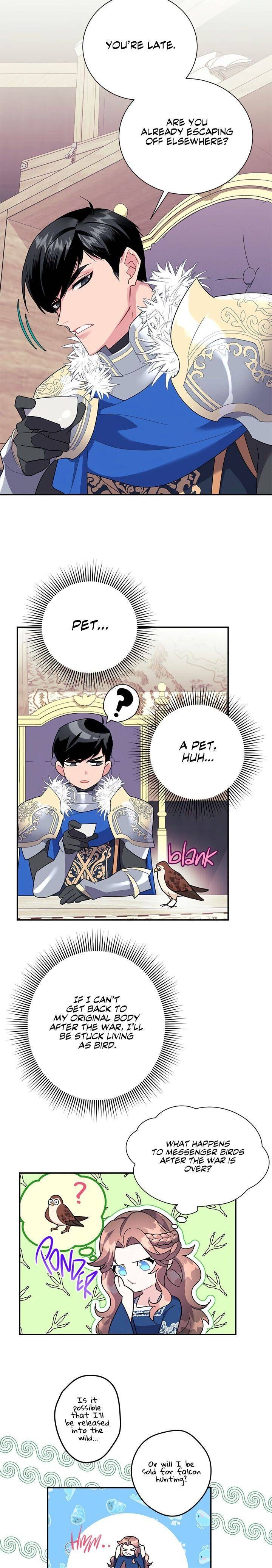 Page 7 of Chapter 20