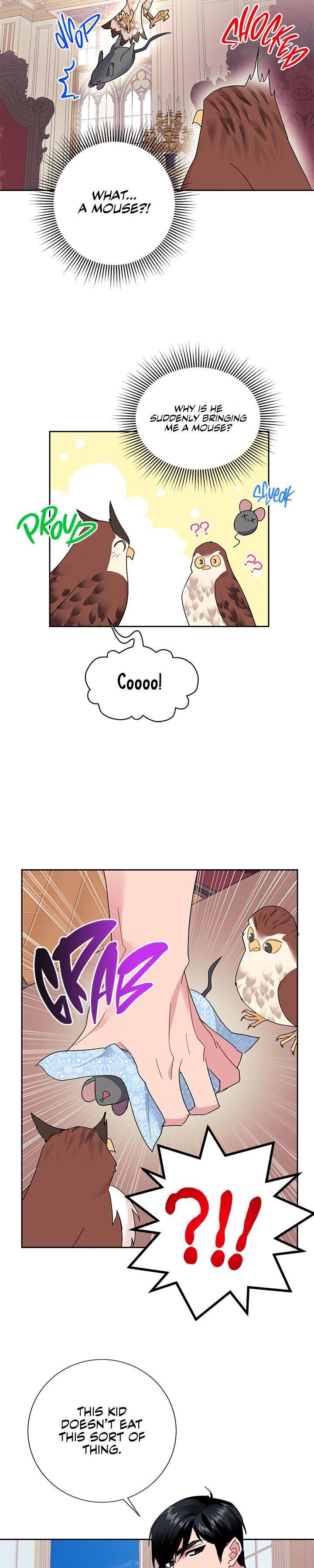 Page 20 of Chapter 24