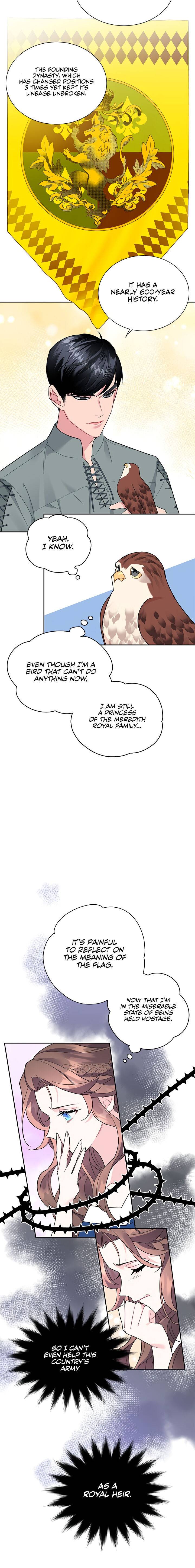 Page 17 of Chapter 28