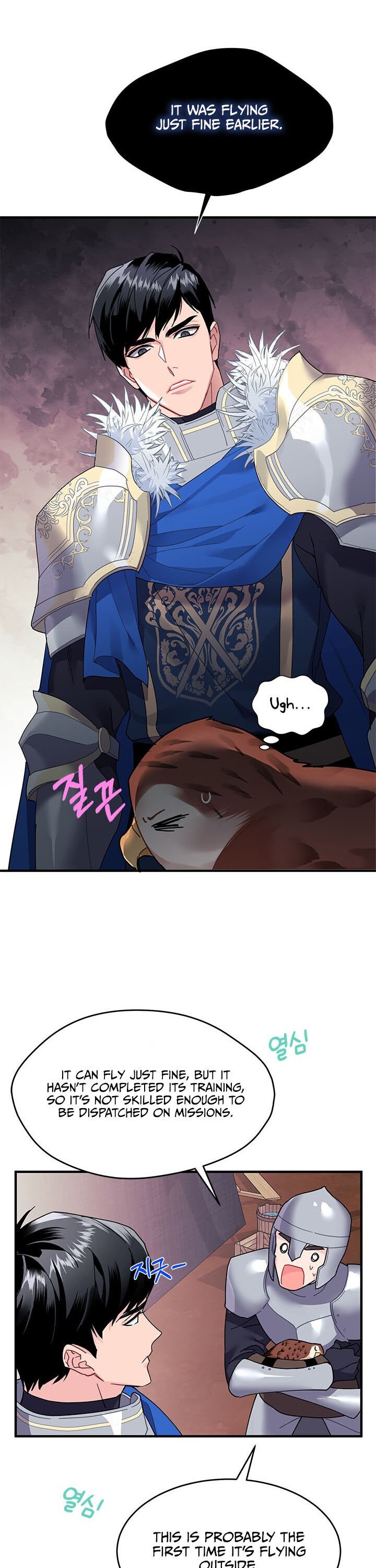 Page 17 of Chapter 3