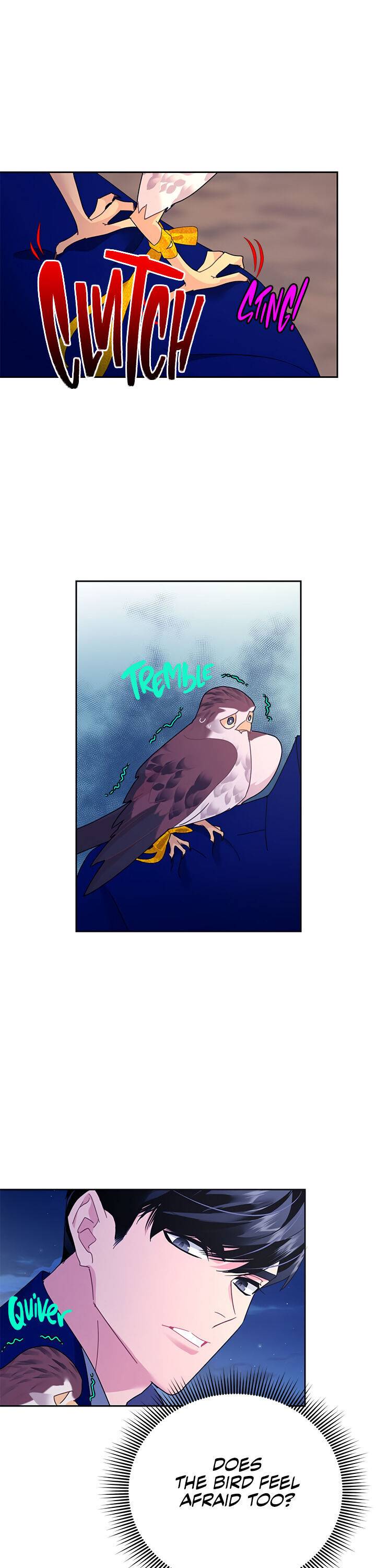 Page 17 of Chapter 36