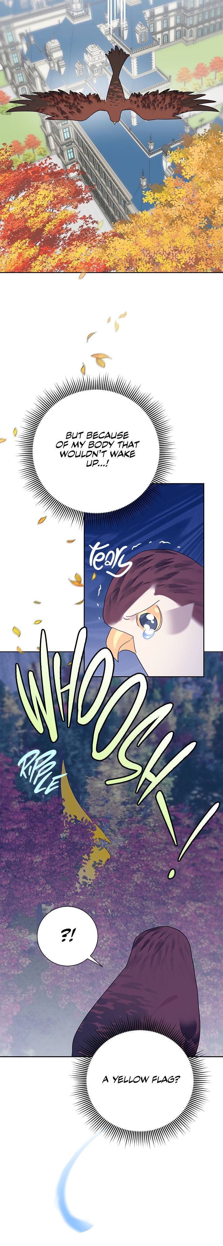 Page 23 of Chapter 37