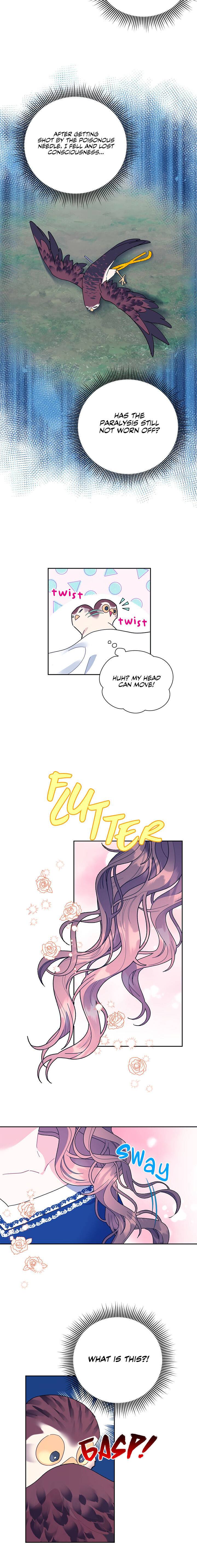 Page 7 of Chapter 39