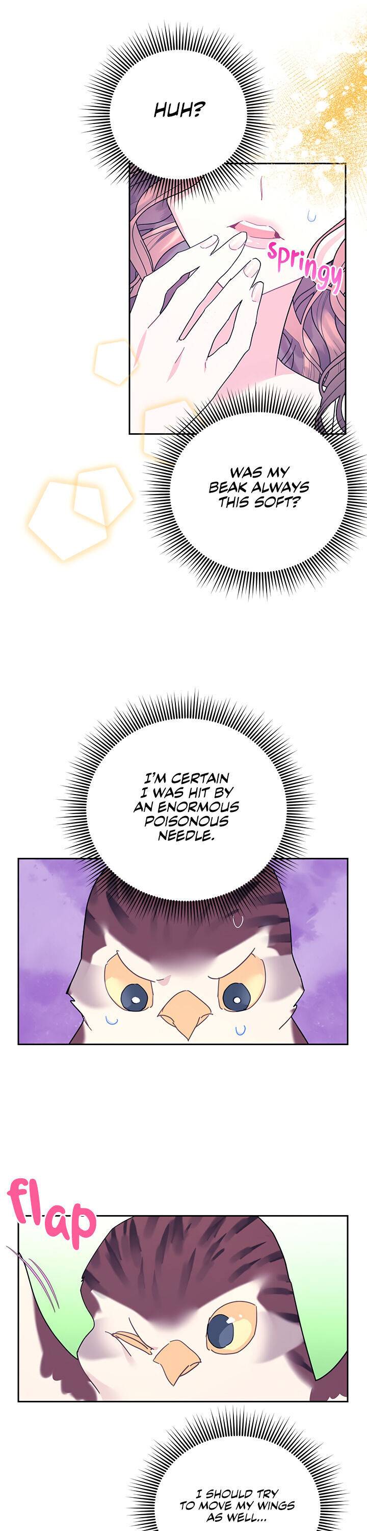 Page 8 of Chapter 39