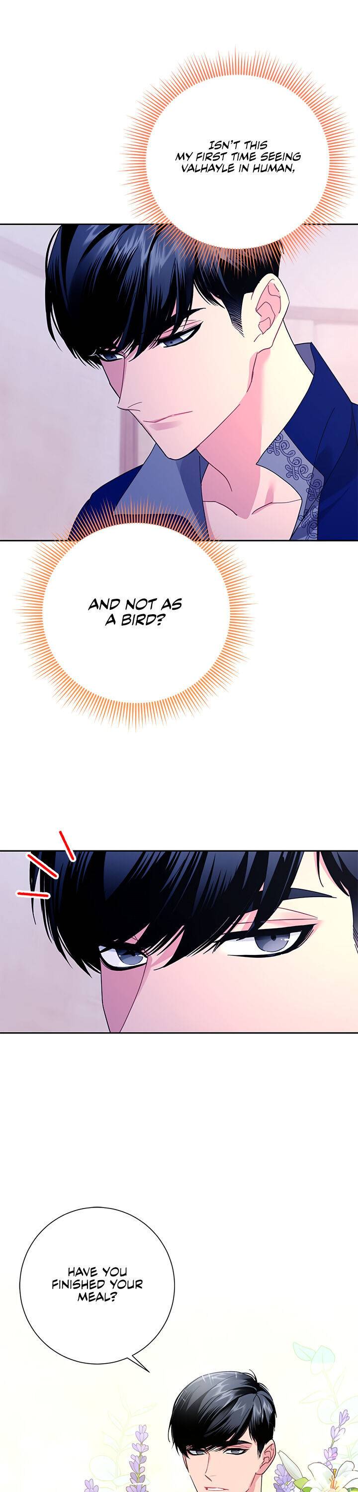 Page 13 of Chapter 41