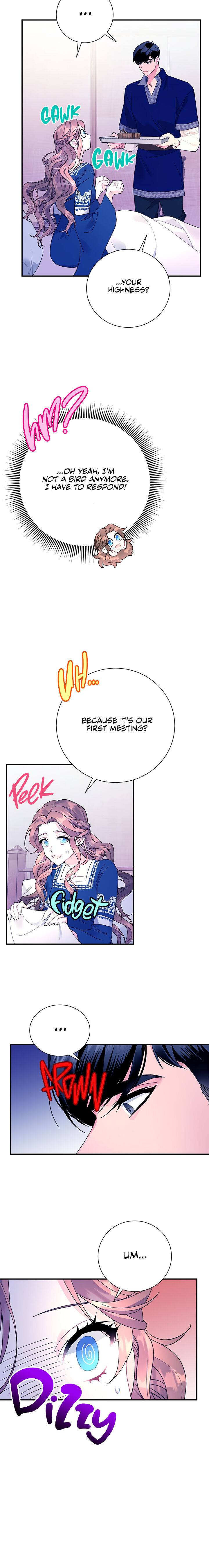 Page 17 of Chapter 41