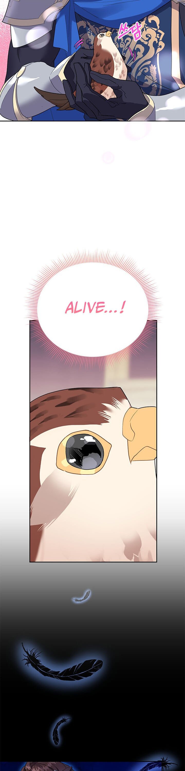 Page 22 of Chapter 6
