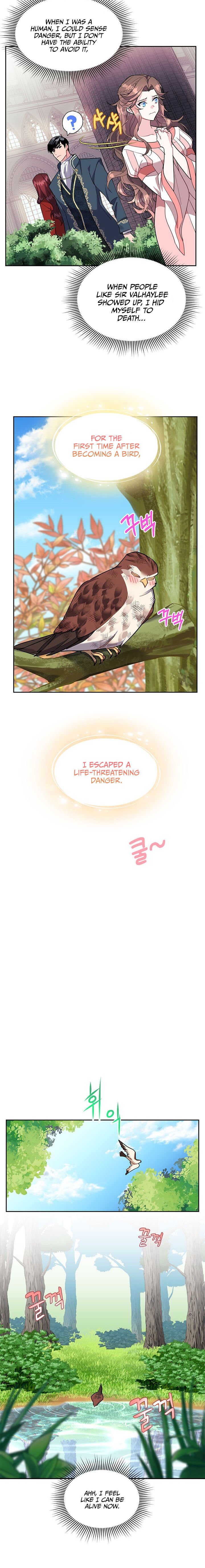 Page 14 of Chapter 7