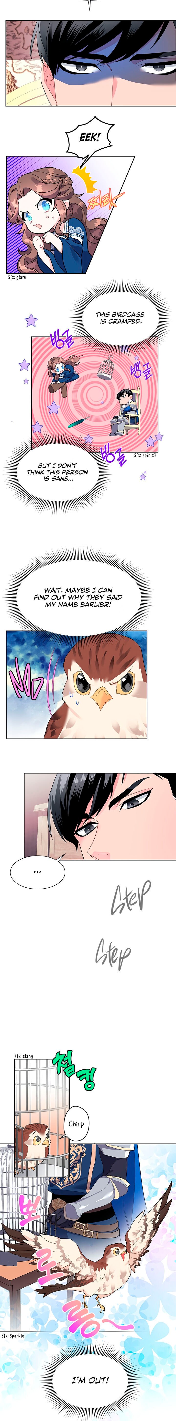 Page 17 of Chapter 8
