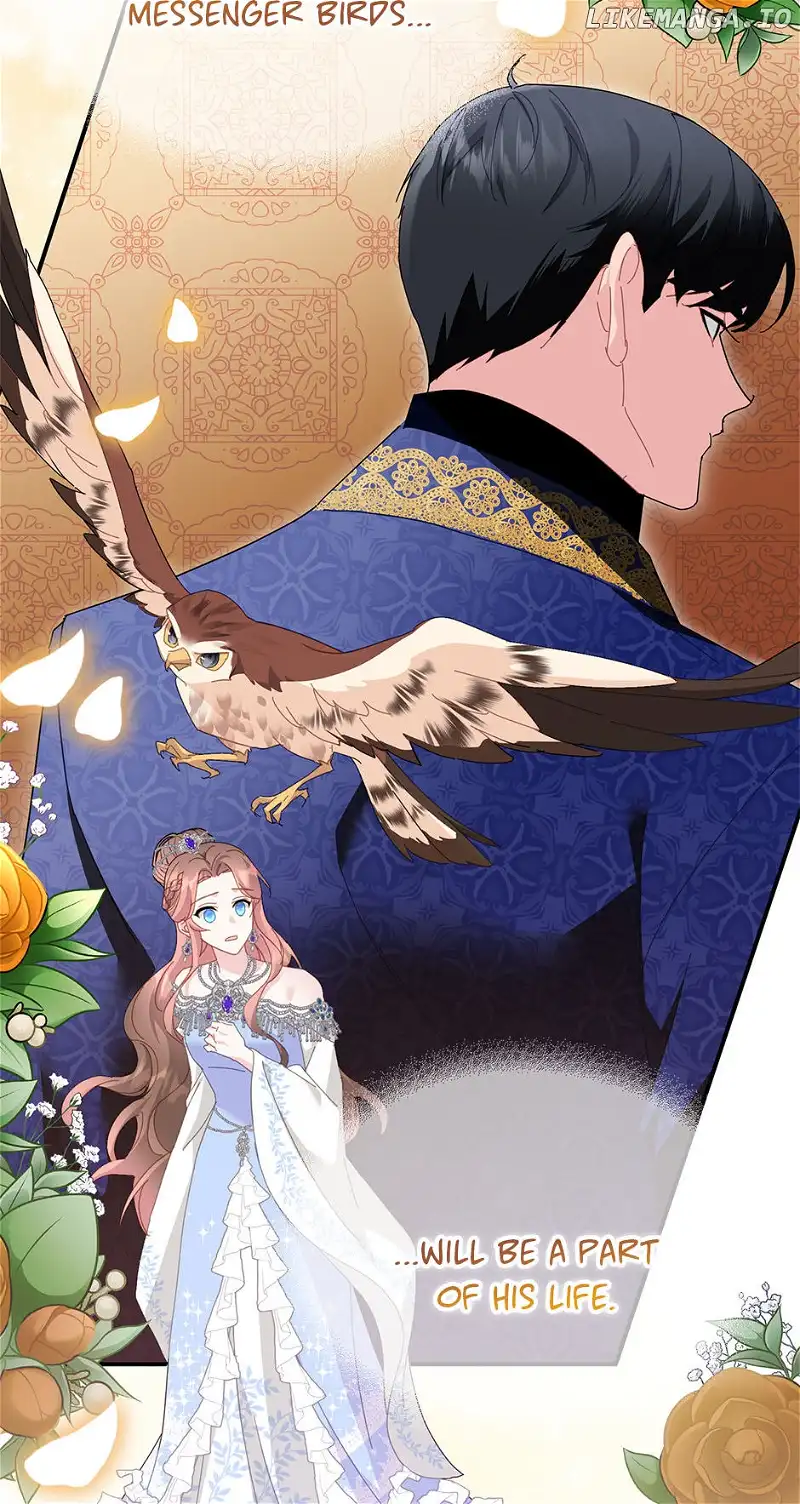 Page 31 of Chapter 81