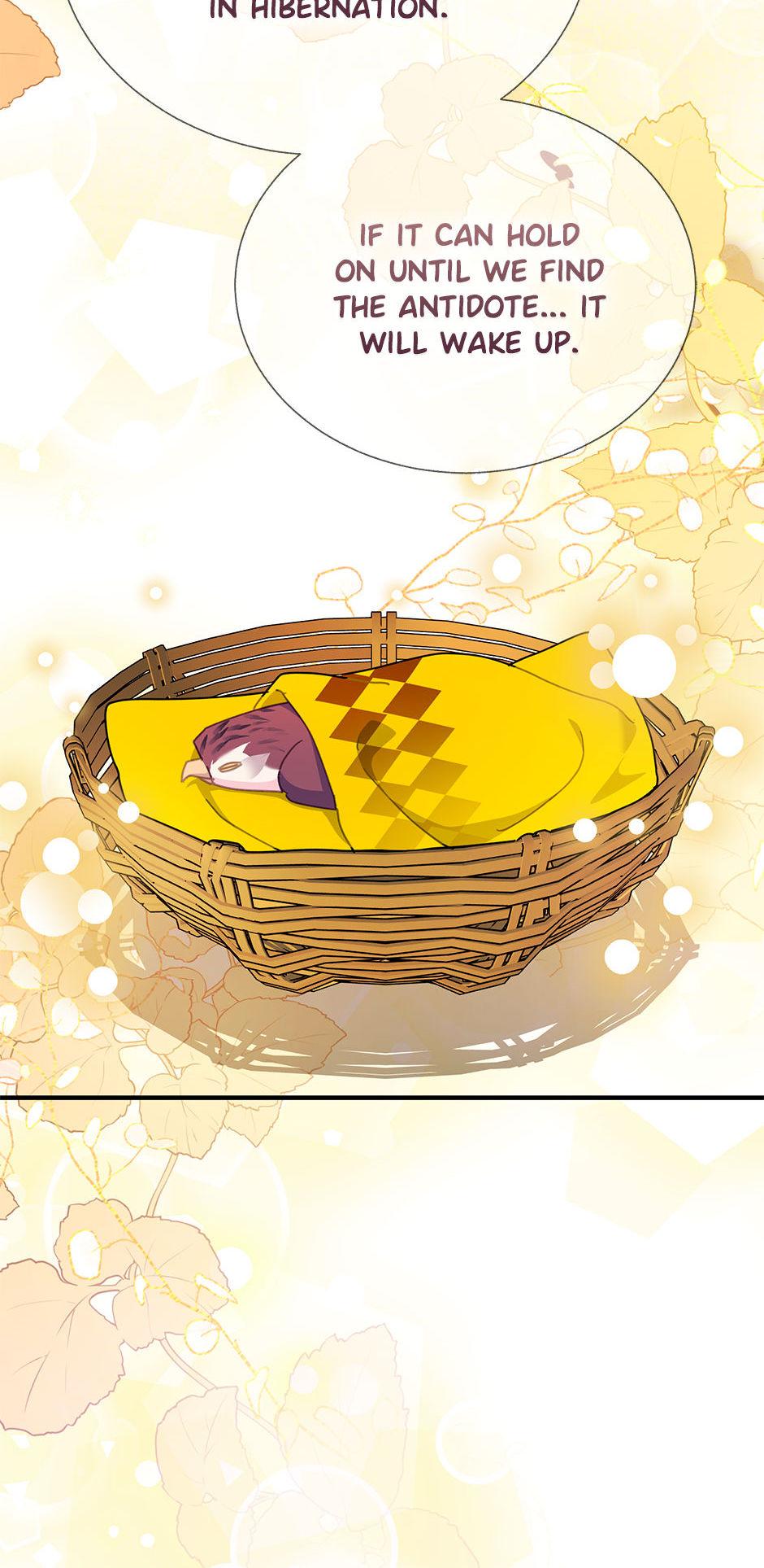 Page 25 of Chapter 97