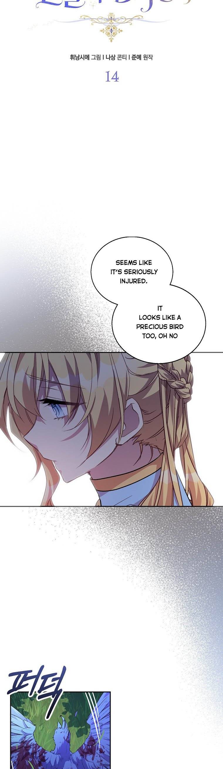 Page 17 of Chapter 14