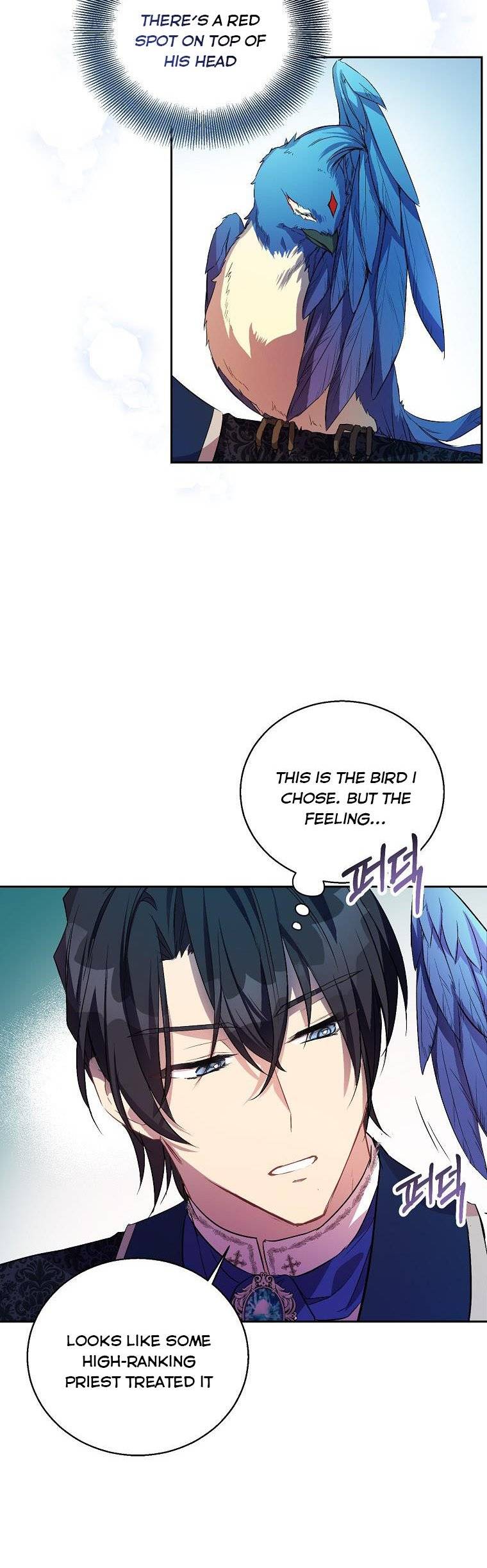 Page 9 of Chapter 15