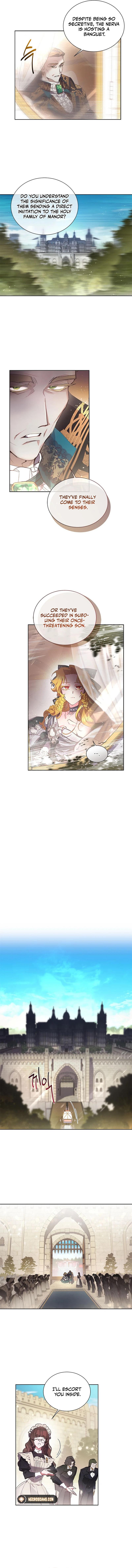 Page 8 of Chapter 15