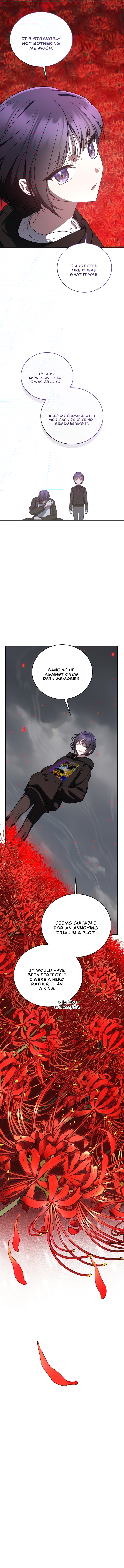 Page 26 of Chapter 15