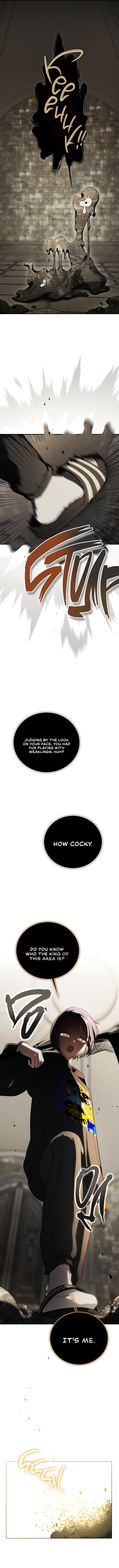 Page 13 of Chapter 17