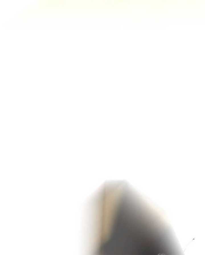 Page 82 of Chapter 16