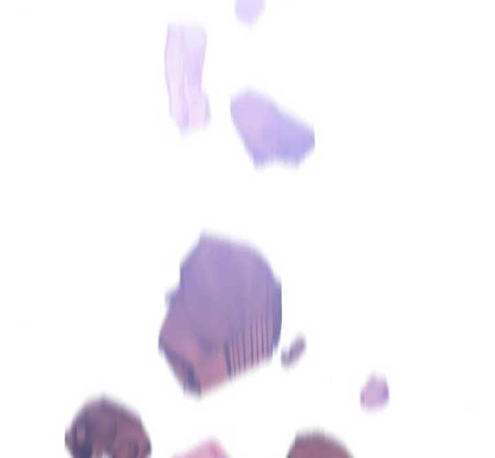 Page 138 of Chapter 2