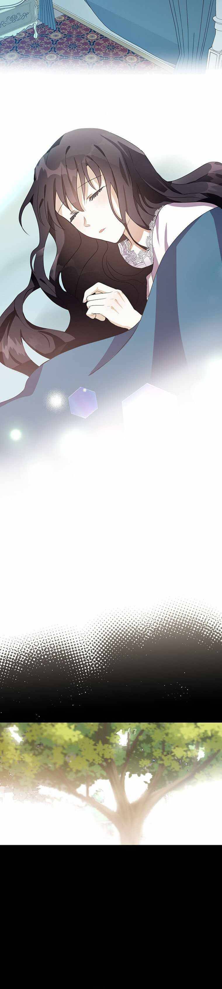 Page 20 of Chapter 15