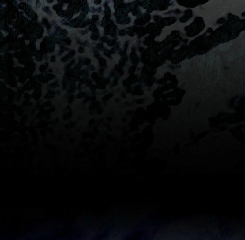 Page 56 of Chapter 62