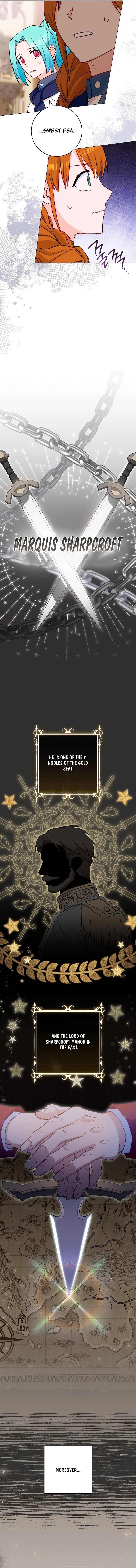 Page 13 of Chapter 142