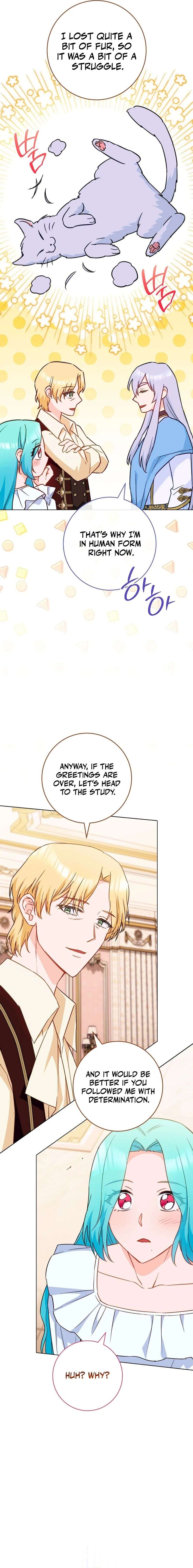 Page 18 of Chapter 164