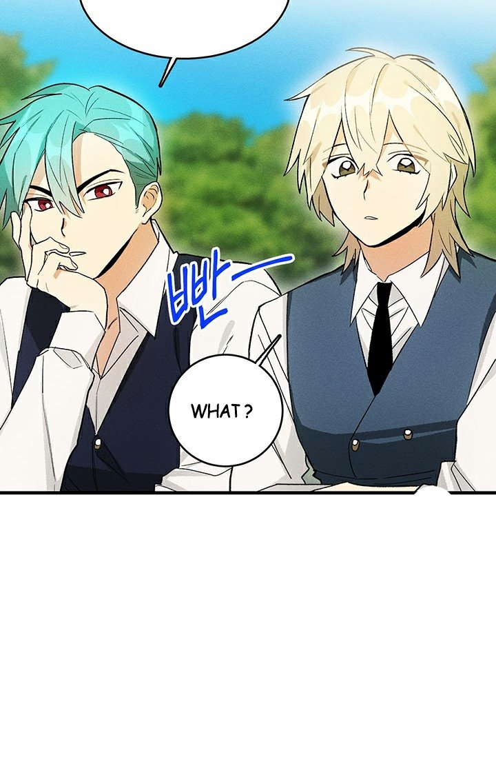 Page 11 of Chapter 23