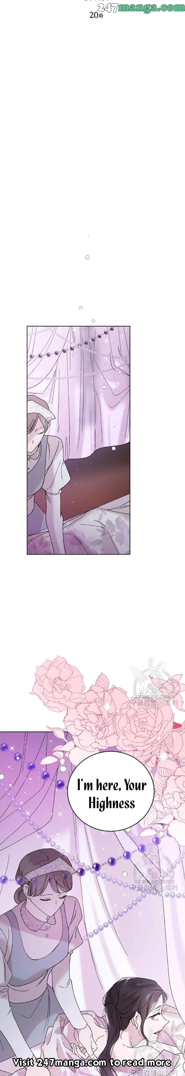 Page 4 of Chapter 20
