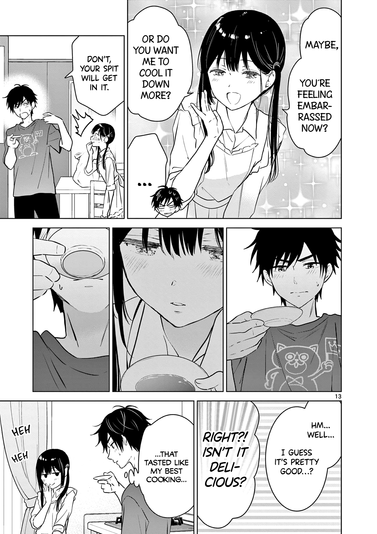 Page 13 of Chapter 15