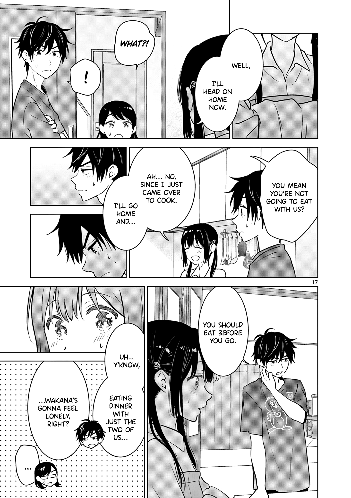 Page 17 of Chapter 15