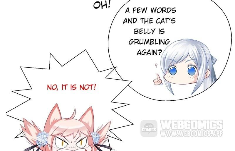 Page 14 of Chapter 41